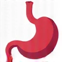 Icono de estómago saludable